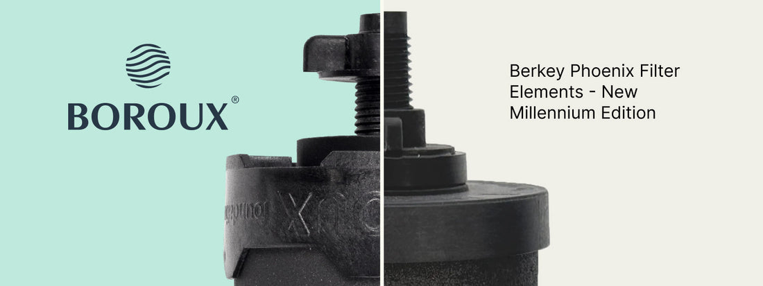 Comparing BOROUX® and Phoenix