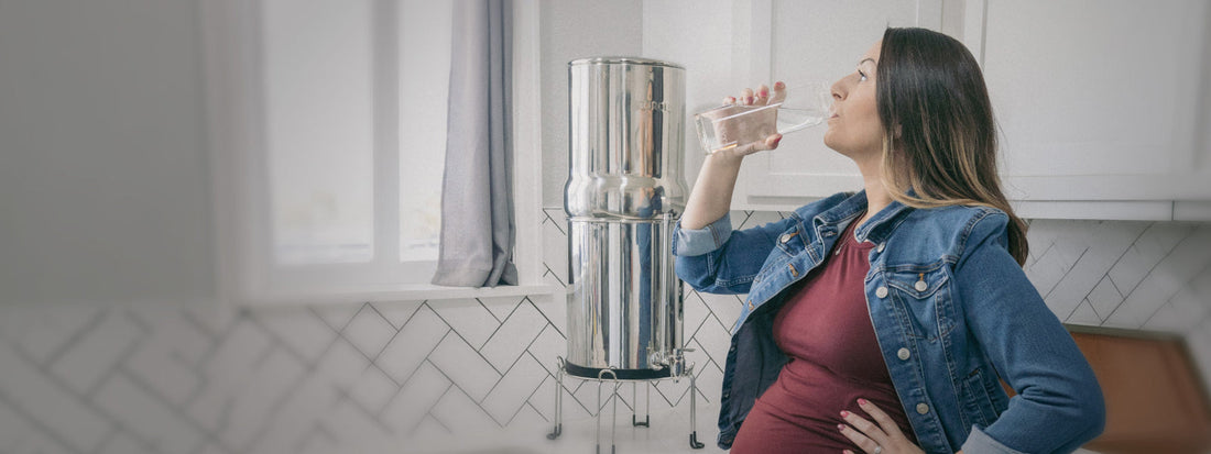 Does BOROUX Filter Estrone?