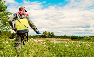 Man with hat spraying his plants with pesticides