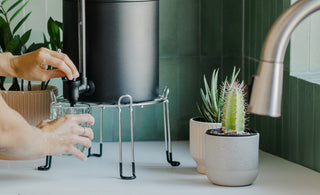 Pouring BOROUX water in a drinking glass.