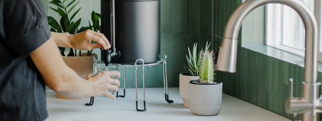 Pouring BOROUX water in a drinking glass.