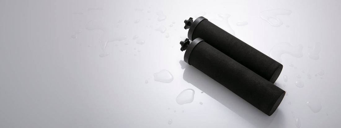 Black Berkey water filters on a white background