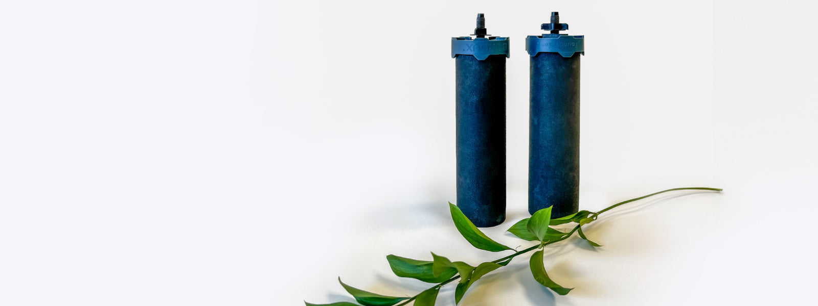 Boroux foundation water filters next to green plant stem and leaves