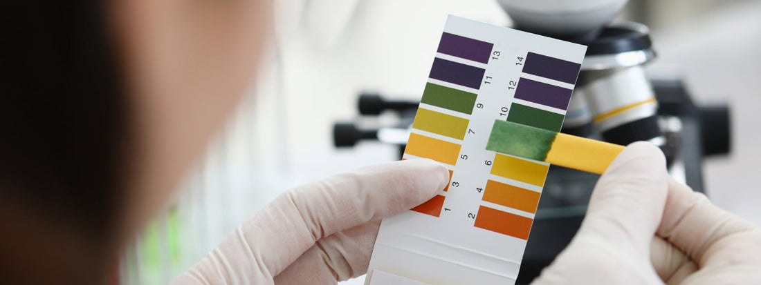 Testing water pH level using testing strips