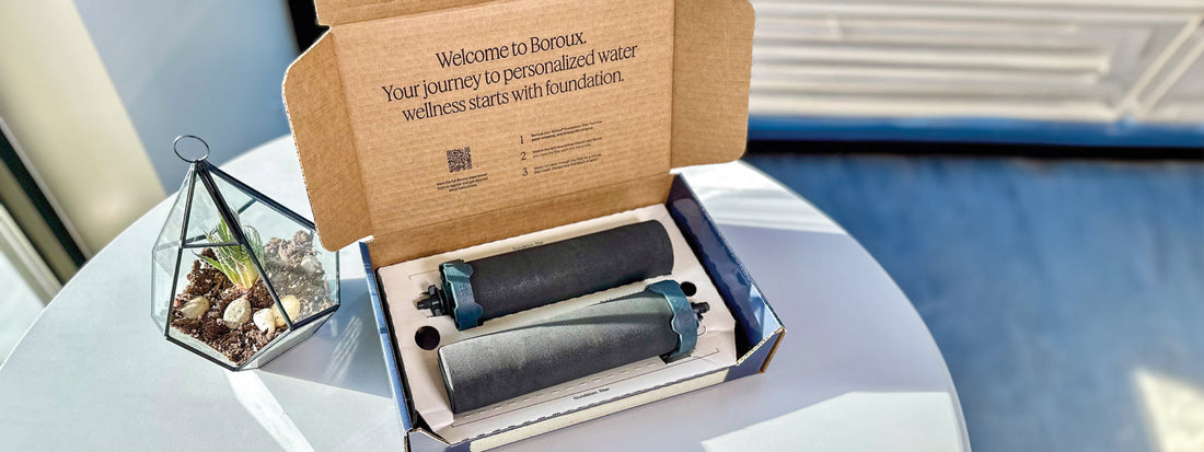 Boroux water filters on table next to plant