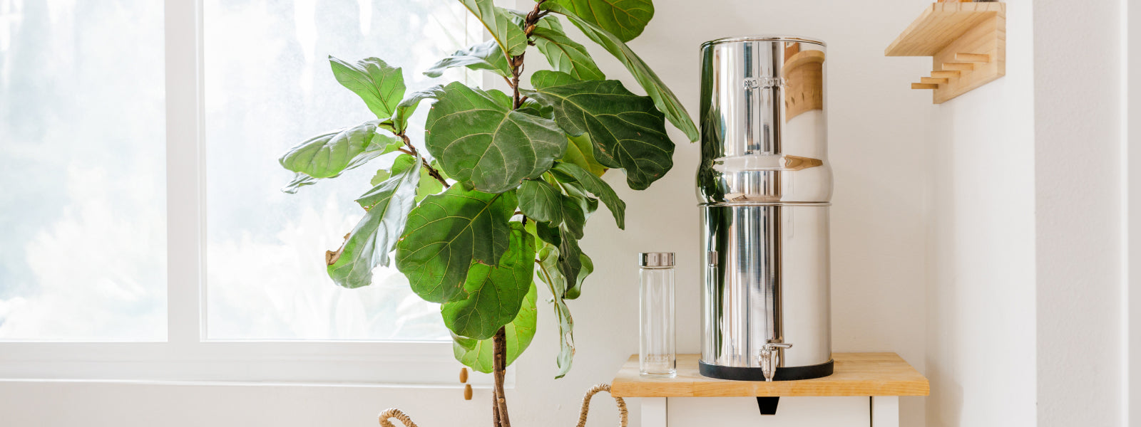 BOROUX legacy system on stand ready to filter THMs