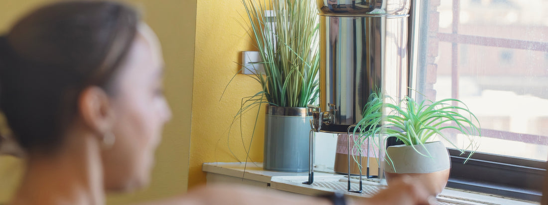 BOROUX legacy.™ water filter system on window sill during a yoga glass