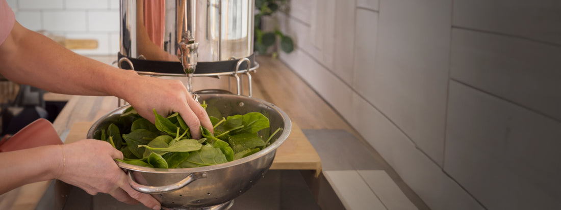 BOROUX water filtration system washing spinach