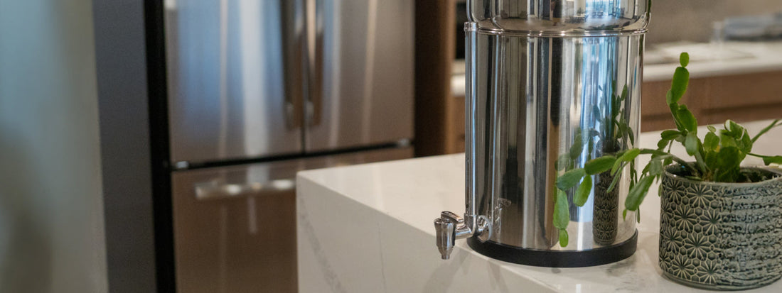 New BOROUX water level spigot on kitchen counter top