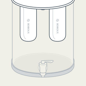 Proactive Fluoride Filters Set