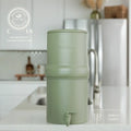 #color_sage-green