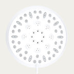 Shower Filter System