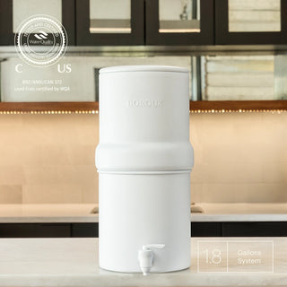 BOROUX Legacy™ Compact Water Filter System